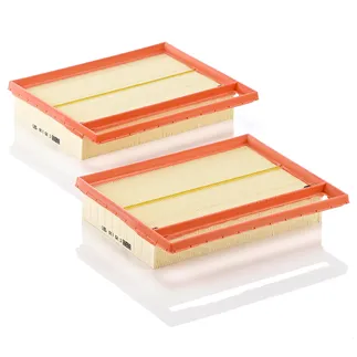 MANN FILTER Left Air Filter - 2750940204